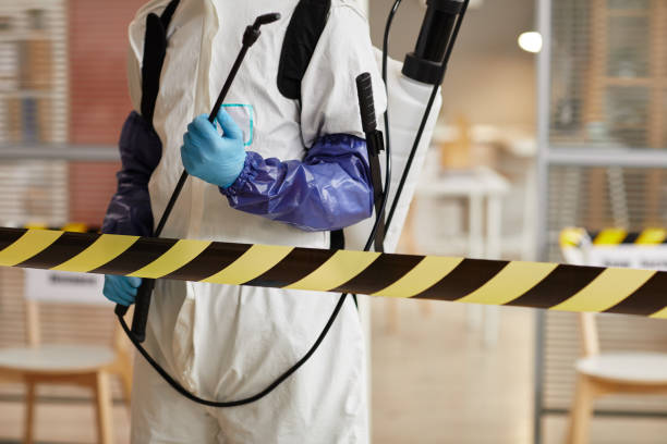Professional Sewage Cleanup technician working in Lincoln, CA